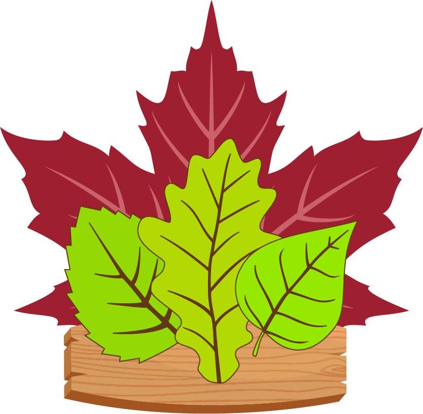 Logo_Naturkurse_ohne