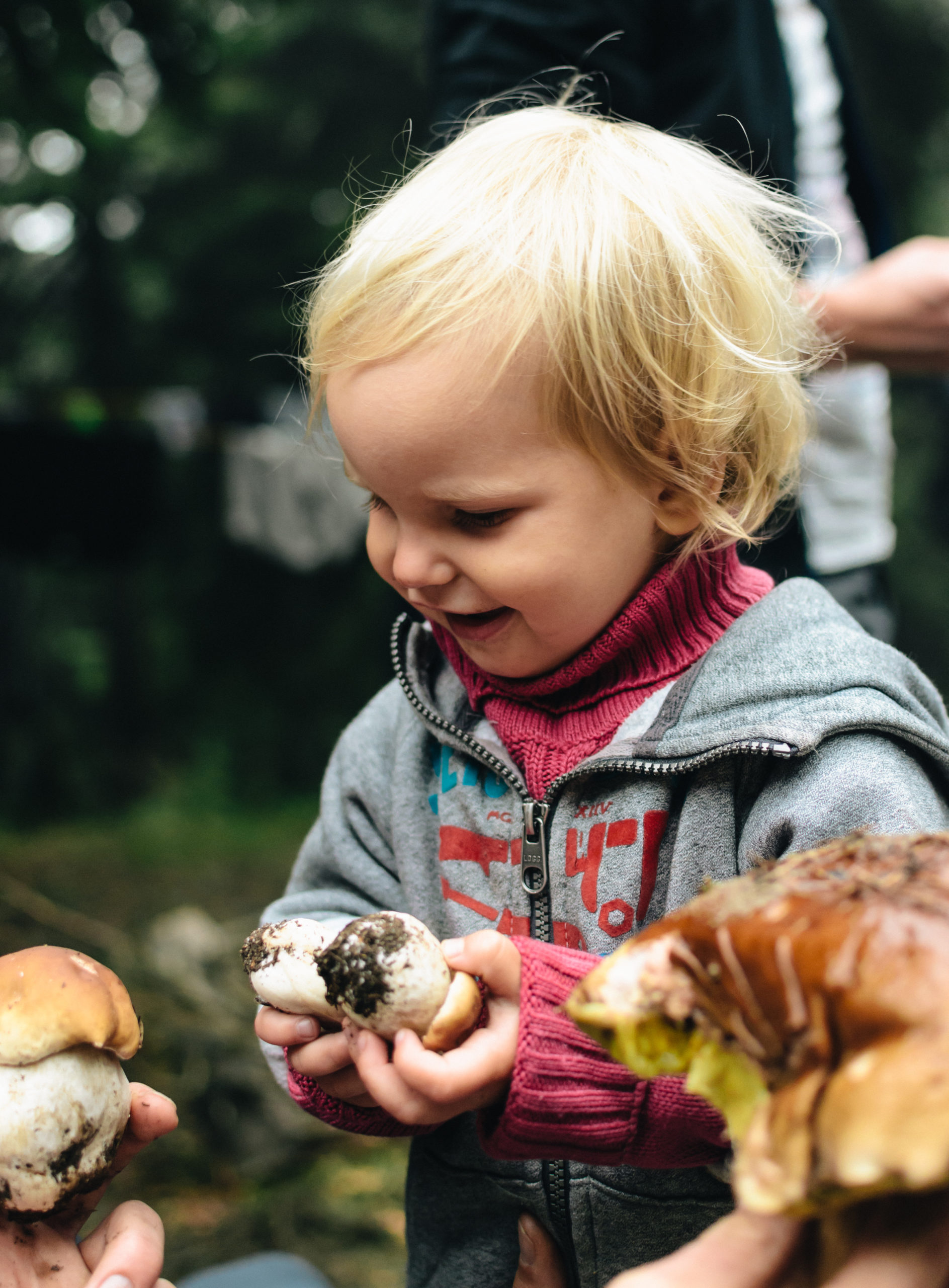 happy child girl picking wild mushrooms on the walk in summer or autumn forest